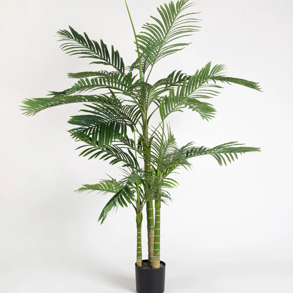 Artificial Bangalow Palm