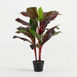 Artificial Dark Cordyline Plant