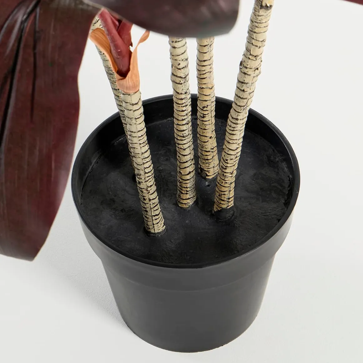 Artificial Dark Cordyline Plant
