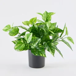 Artificial Mini Pothos Light Green Plant