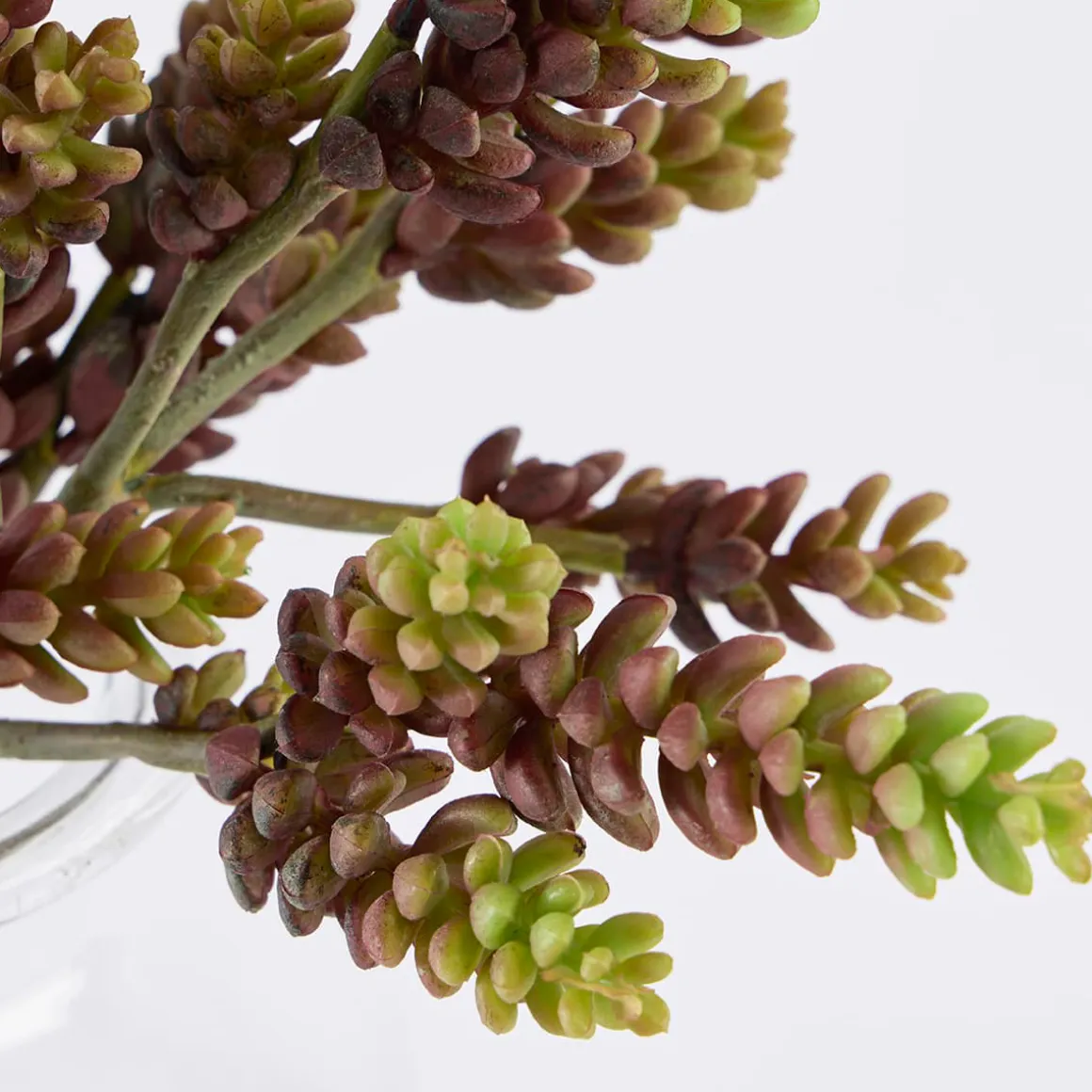 Artificial Sedum Burrito Succulent Stem