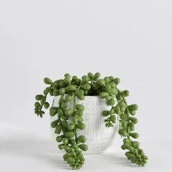 Avalon Jelly Bean Artificial Potted Succulent