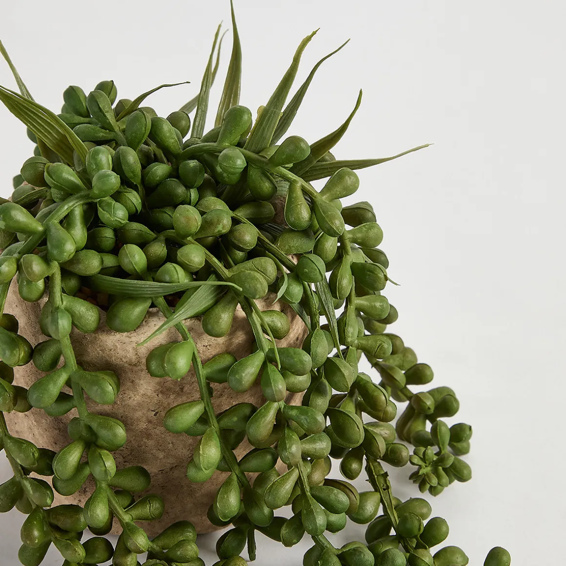 Bartel Jelly Bean Artificial Potted Succulent