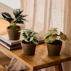 Botanic Artificial Caladium Potted Plant