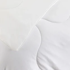 Comfort Science Cool Touch 100gsm Microfibre Quilt