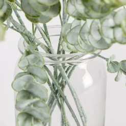 Dusty Eucalyptus Stem