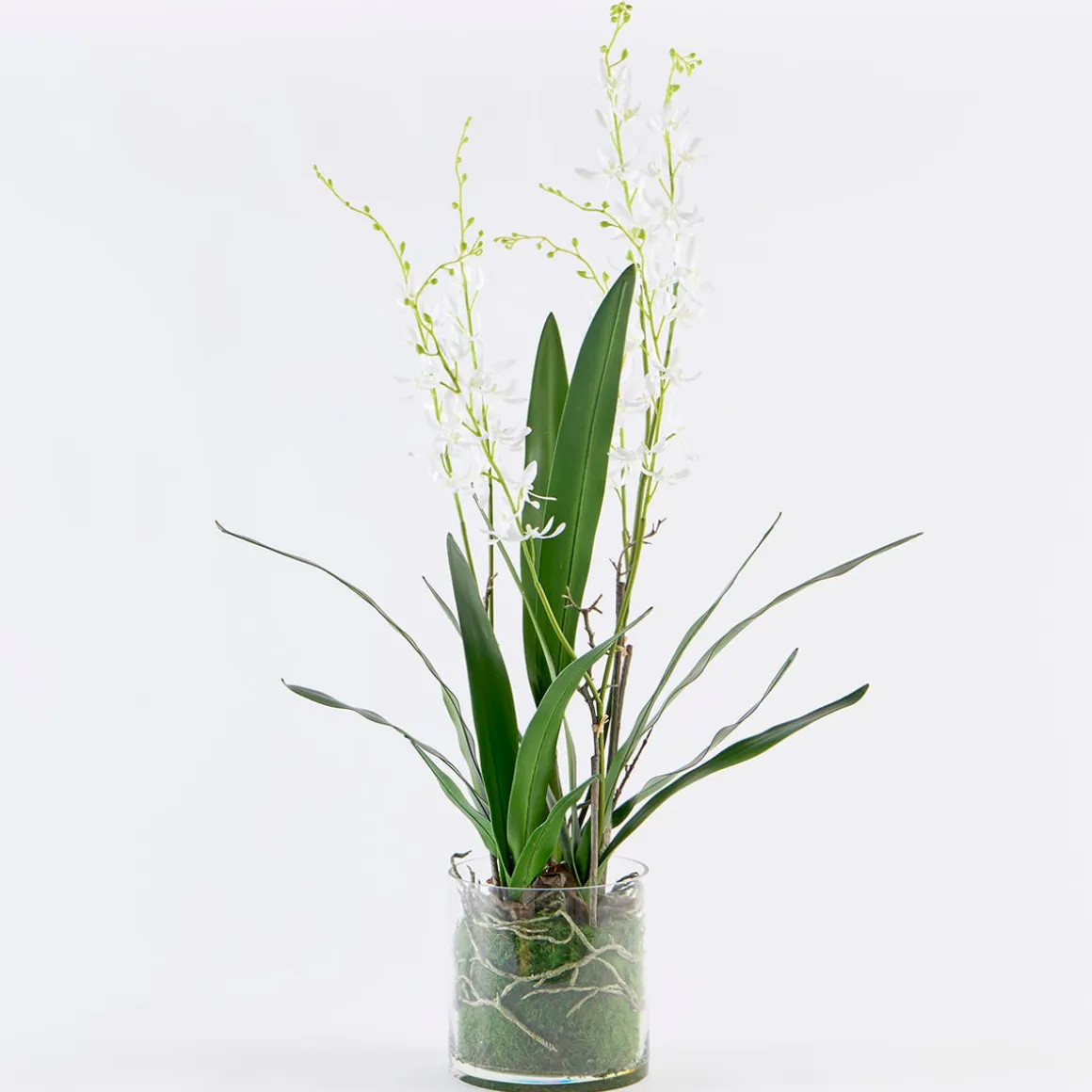 Freya Artificial Spider Orchid in Vase