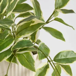 Hali Pothos Artificial Potted Plant