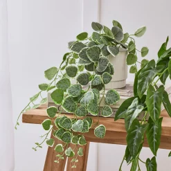 Hali String of Hearts Artificial Potted Plant