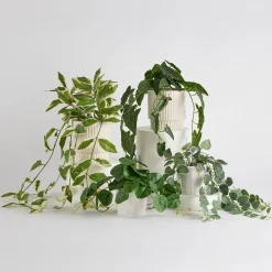 Hali String of Hearts Artificial Potted Plant