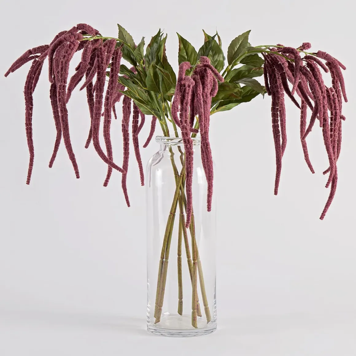 Hanging Millet Stem
