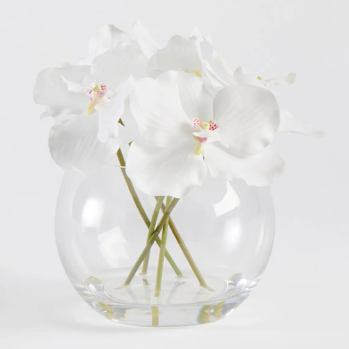 Lola Artificial Vanda Orchid Bouquet in Vase
