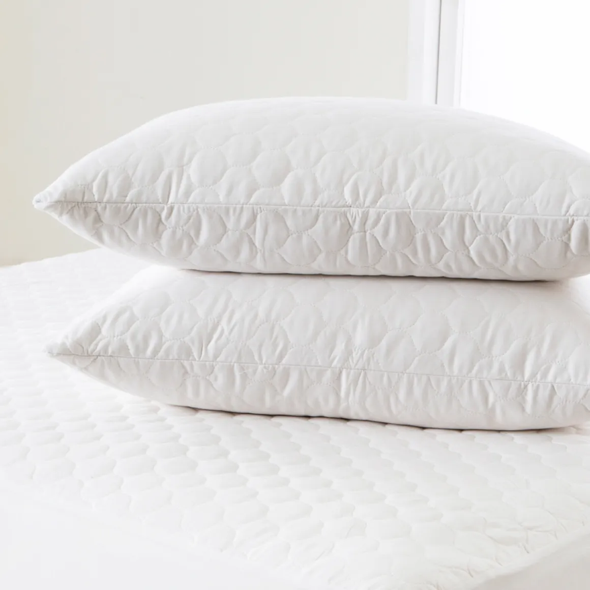 Natural Cotton Standard Pillow Protector