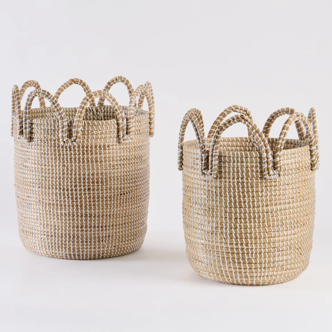 Paulie Basket